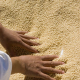 M’Hamsa Hand-rolled Couscous (organic) - Mediterra 